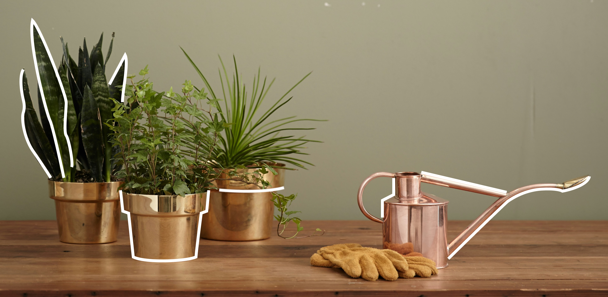 5 альтернатив привычным грядкам: тренды 2024 года